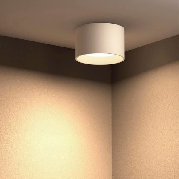 Good Quality Small Ceiling Lamp Surface Mounted LED Downlight For Living Room Bedroom Kitchen Corridor 220V 12W 15W Down Lights