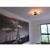 Vintage Industrial Barn Metal Cage Ceiling Lamp Flush Mount Steampunk Edison Hanging Light Mini Art Chandelier 110V/220V/230V