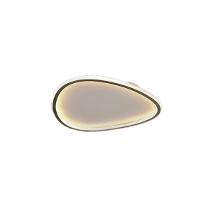 Modern LED Ceiling Lamp For Living Dining Bedroom Aisle Balcony Ceiling Chandelier Indoor Home Decoratioan Light Fixture Luster