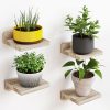 Fixwal Floating Shelves for Wall, Rustic Wood Small Wall Mounted Shelves for Bedroom, Living Room, Kitchen, Bathroom Decor, Set of 4, 5 x 5 Inches (Carbonized Black)